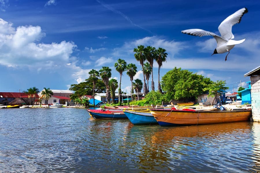 JAMAICA en 6 cuotas