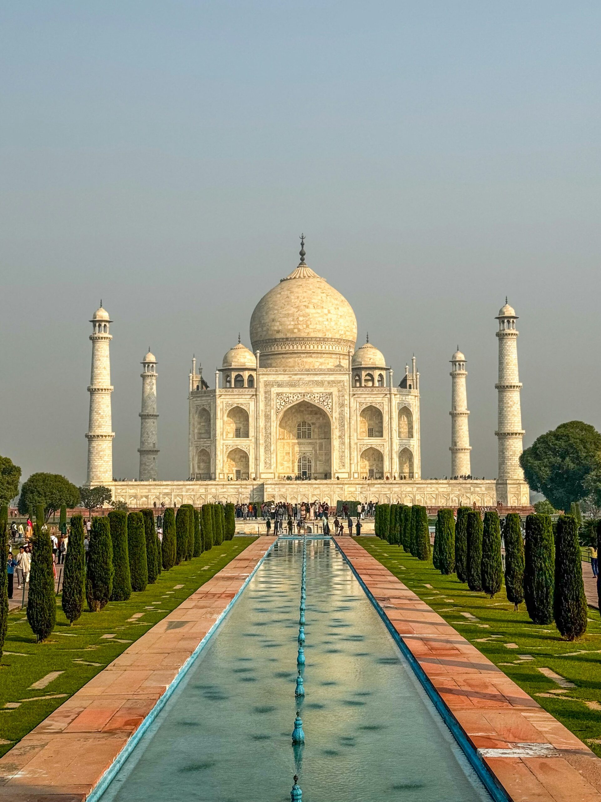 INDIA ACOMPAÑADA