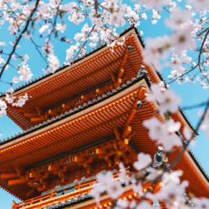 CHINA & JAPON ACOMPAÑADA
