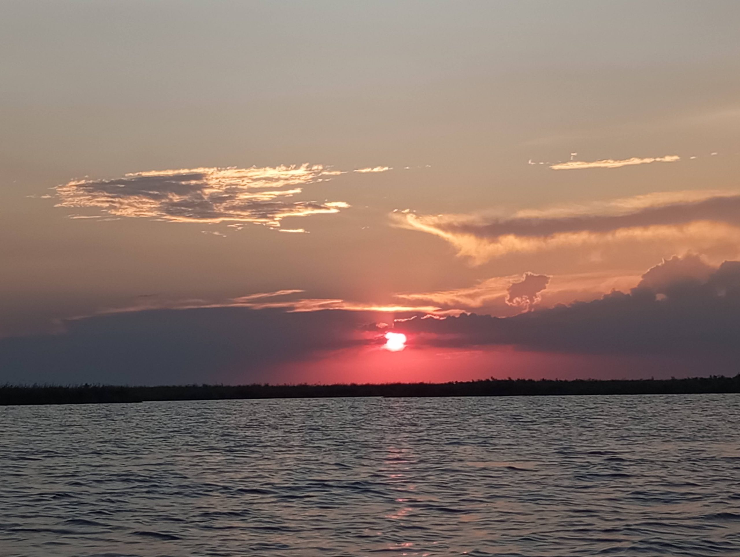 Esteros del Iberá - Imagen 6