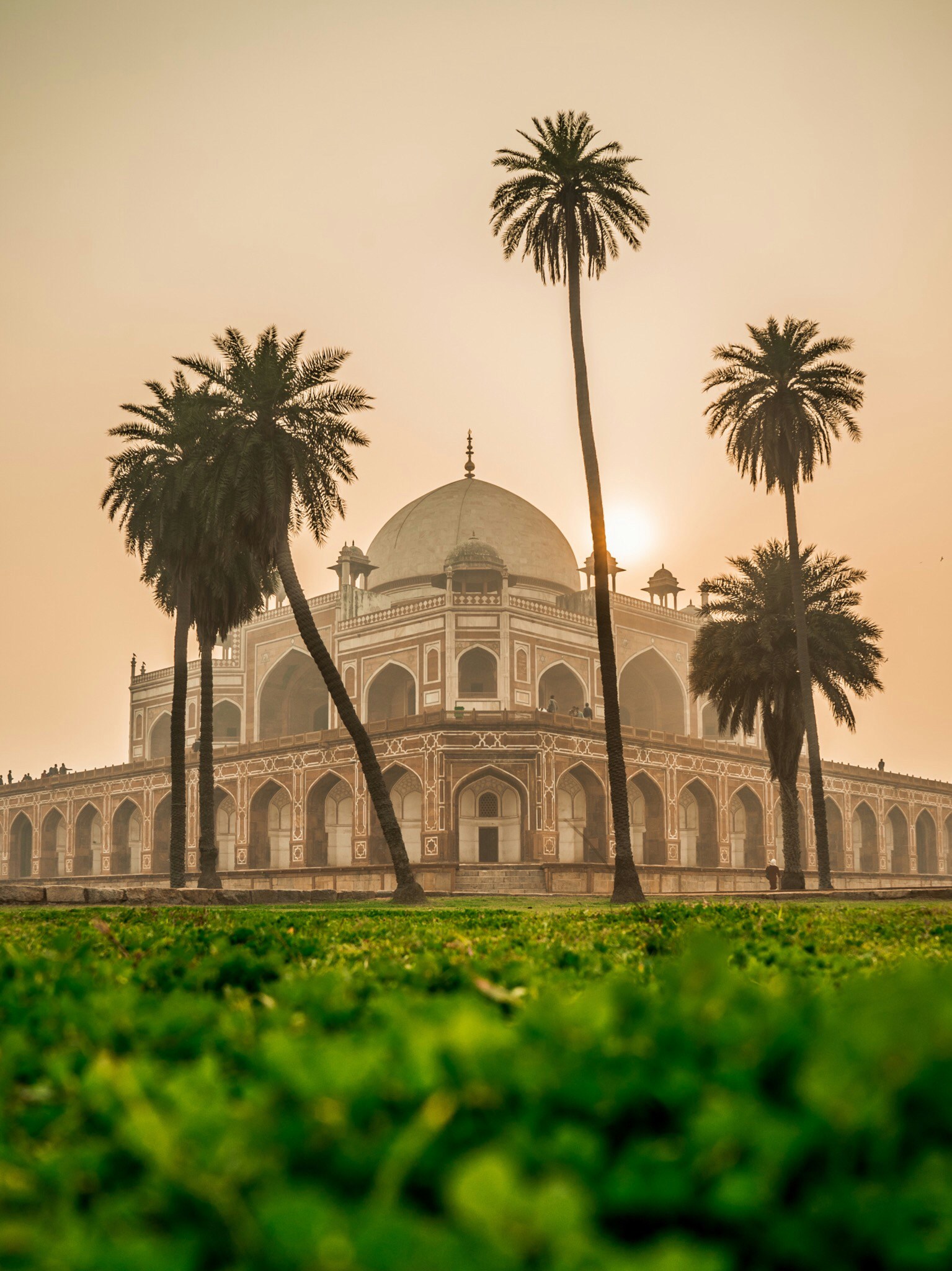 INDIA ACOMPAÑADA - Imagen 7